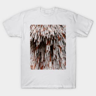 Mom, i think it's raining cigarettes T-Shirt